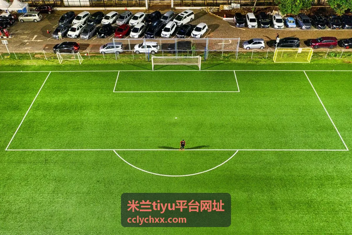 米兰tiyu平台网址青年组循环赛项目封面